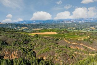 Agriculture,  Dry Creek road, Healdsburg, CA 95448 - 17