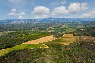 Agriculture,  Dry Creek road, Healdsburg, CA 95448 - 2