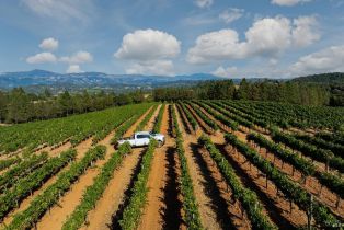 Agriculture,  Dry Creek road, Healdsburg, CA 95448 - 19