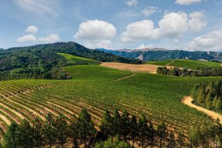 Land, 9965 W Dry Creek Rd, Healdsburg, CA  Healdsburg, CA 95448