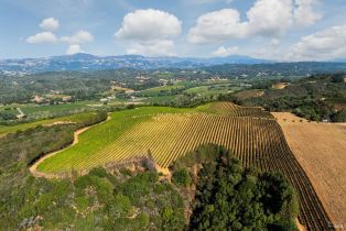 Agriculture,  Dry Creek road, Healdsburg, CA 95448 - 15