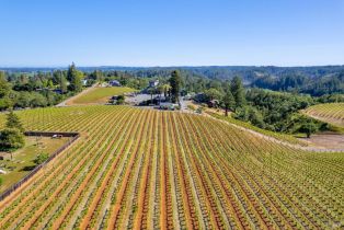 Single Family Residence,  Giusti road, Russian River, CA 95436 - 4