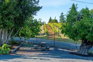 Single Family Residence,  Giusti road, Russian River, CA 95436 - 18