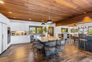 Single Family Residence,  Giusti road, Russian River, CA 95436 - 63