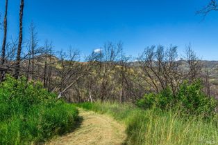 Residential Acreage,  Silverado trail, Calistoga, CA 94515 - 50