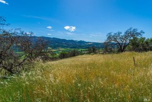 Residential Acreage,  Silverado trail, Calistoga, CA 94515 - 4