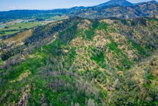 Residential Acreage,  Silverado trail, Calistoga, CA 94515 - 57