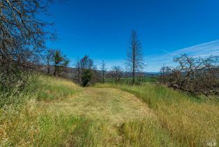 Residential Acreage,  Silverado trail, Calistoga, CA 94515 - 15