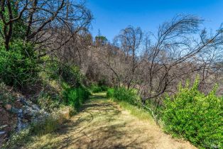 Residential Acreage,  Silverado trail, Calistoga, CA 94515 - 48