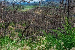 Residential Acreage,  Silverado trail, Calistoga, CA 94515 - 46