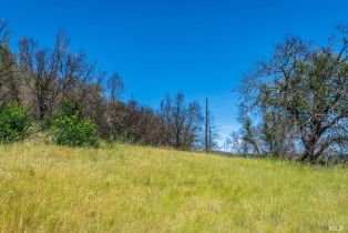 Residential Acreage,  Silverado trail, Calistoga, CA 94515 - 8