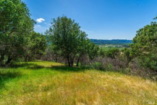 Residential Acreage,  Silverado trail, Calistoga, CA 94515 - 14