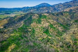 Residential Acreage,  Silverado trail, Calistoga, CA 94515 - 56