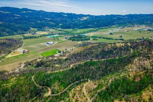 Residential Acreage,  Silverado trail, Calistoga, CA 94515 - 64