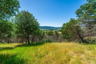 Residential Acreage,  Silverado trail, Calistoga, CA 94515 - 12