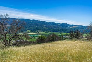 Residential Acreage,  Silverado trail, Calistoga, CA 94515 - 16