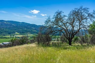 Residential Acreage,  Silverado trail, Calistoga, CA 94515 - 7