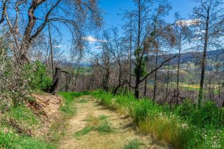 Residential Acreage,  Silverado trail, Calistoga, CA 94515 - 44