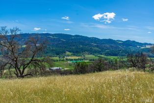 Residential Acreage,  Silverado trail, Calistoga, CA 94515 - 5