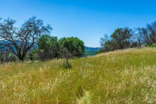 Residential Acreage,  Silverado trail, Calistoga, CA 94515 - 6