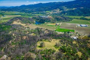 Residential Acreage,  Silverado trail, Calistoga, CA 94515 - 34