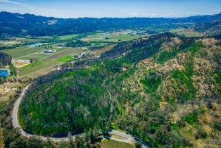 Residential Acreage,  Silverado trail, Calistoga, CA 94515 - 60