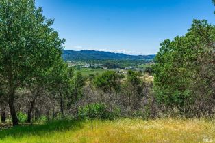 Residential Acreage,  Silverado trail, Calistoga, CA 94515 - 13