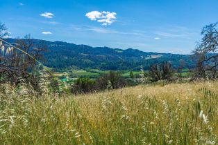 Residential Acreage,  Silverado trail, Calistoga, CA 94515 - 3