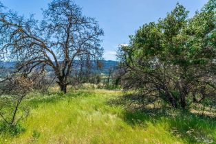 Residential Acreage,  Silverado trail, Calistoga, CA 94515 - 9