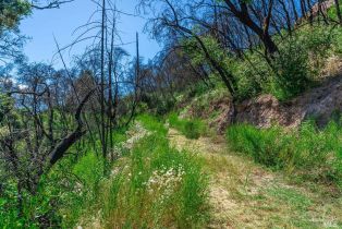 Residential Acreage,  Silverado trail, Calistoga, CA 94515 - 45