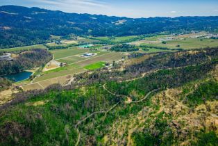 Residential Acreage,  Silverado trail, Calistoga, CA 94515 - 63