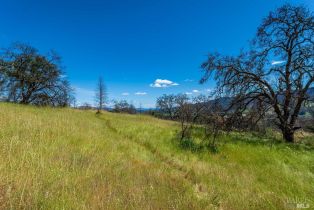 Residential Acreage,  Silverado trail, Calistoga, CA 94515 - 11