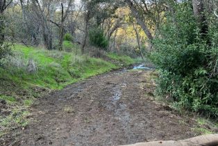 Residential Acreage,  Chalk Hill road, Healdsburg, CA 95448 - 5