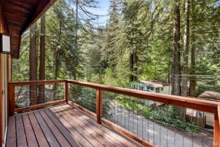 Single Family Residence,  Old Cazadero road, Russian River, CA 95446 - 33