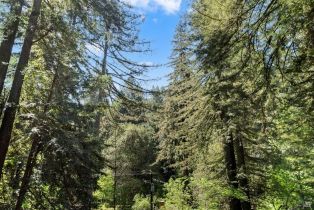 Single Family Residence,  Old Cazadero road, Russian River, CA 95446 - 34