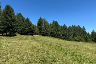 Residential Income, A Mill Creek road, Healdsburg, CA 95448 - 16