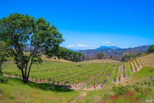 Residential Acreage,  Plum Ranch road, Santa Rosa, CA 95404 - 7