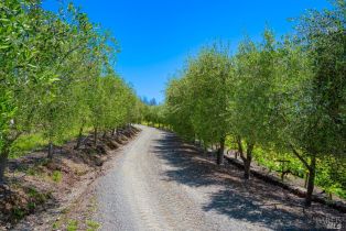 Residential Acreage,  Plum Ranch road, Santa Rosa, CA 95404 - 3