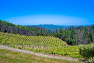 Residential Acreage,  Plum Ranch road, Santa Rosa, CA 95404 - 11