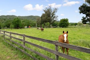 Single Family Residence,  Carriger road, Sonoma, CA 95476 - 33