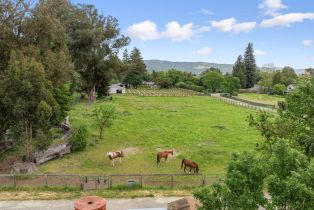 Single Family Residence,  Carriger road, Sonoma, CA 95476 - 46