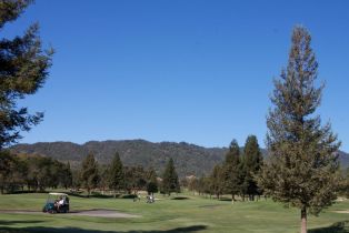 Single Family Residence,  Carriger road, Sonoma, CA 95476 - 49