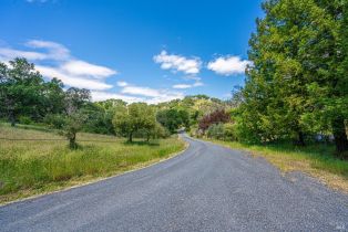 Single Family Residence,  Chalk Hill road, Healdsburg, CA 95448 - 12