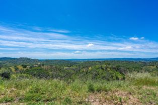 Single Family Residence,  Chalk Hill road, Healdsburg, CA 95448 - 94