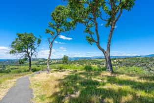 Single Family Residence,  Chalk Hill road, Healdsburg, CA 95448 - 79