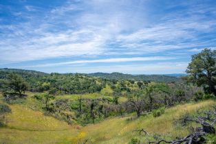 Single Family Residence,  Chalk Hill road, Healdsburg, CA 95448 - 84