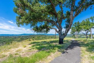 Single Family Residence,  Chalk Hill road, Healdsburg, CA 95448 - 78