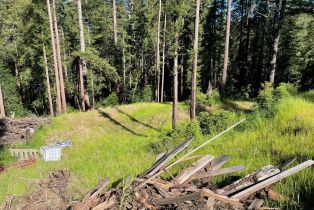 Residential Acreage,  Bittner road, Occidental, CA 95465 - 23