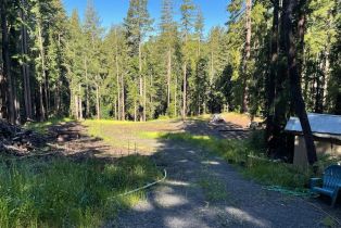 Residential Acreage,  Bittner road, Occidental, CA 95465 - 46