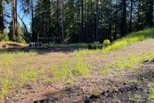 Residential Acreage,  Bittner road, Occidental, CA 95465 - 15